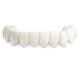 B1 - Natural White ⭐ Most Popular