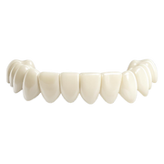 A1 - Light Ivory