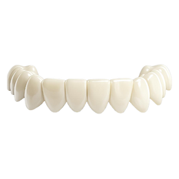 A1 - Light Ivory