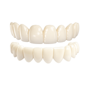 B1 - Natural White ⭐ Most Popular