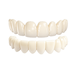 B1 - Natural White ⭐ Most Popular