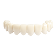 B1 - Natural White ⭐ Most Popular