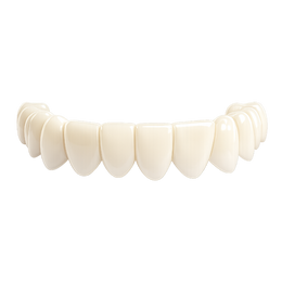 B1 - Natural White ⭐ Most Popular