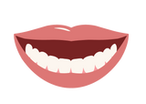 Bottom Arch - Snap on Veneers